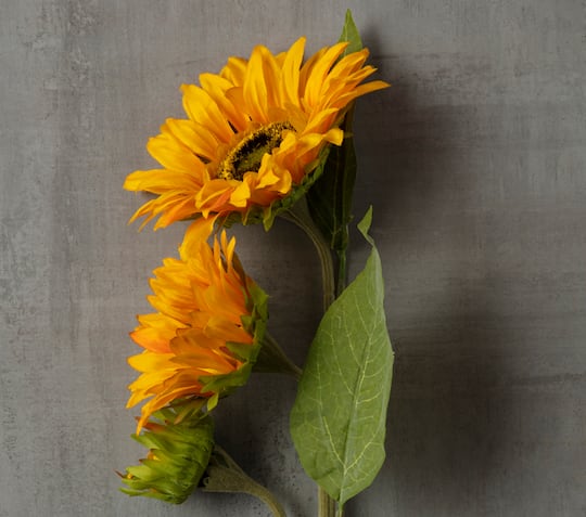 Gold Sunflower Stem by Ashland®